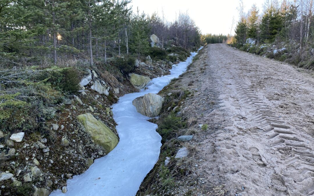 Rapport från naturen…